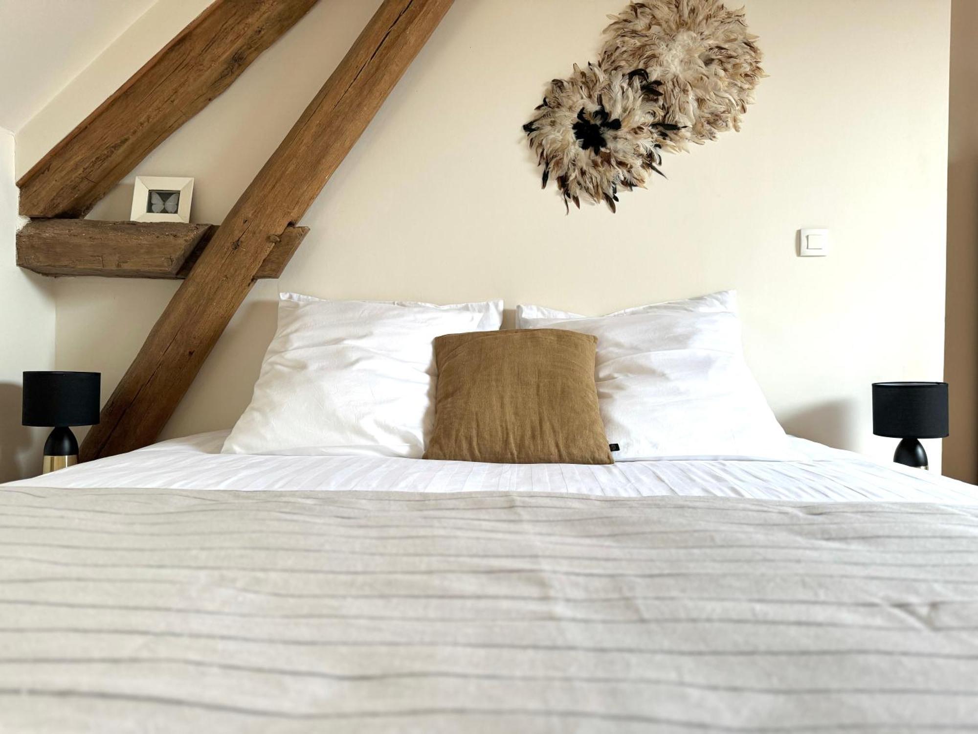 Le Moulin D Olivet Bed & Breakfast Orbigny Екстериор снимка
