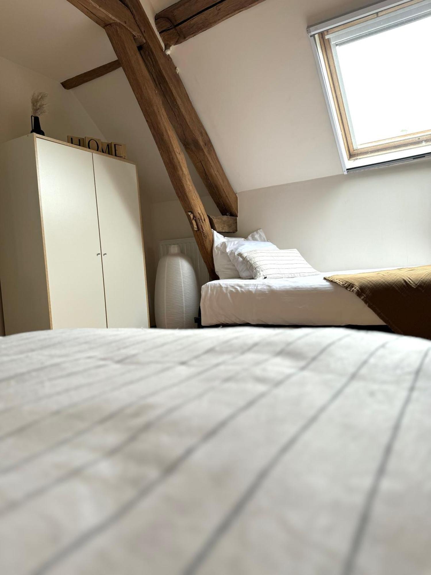 Le Moulin D Olivet Bed & Breakfast Orbigny Екстериор снимка