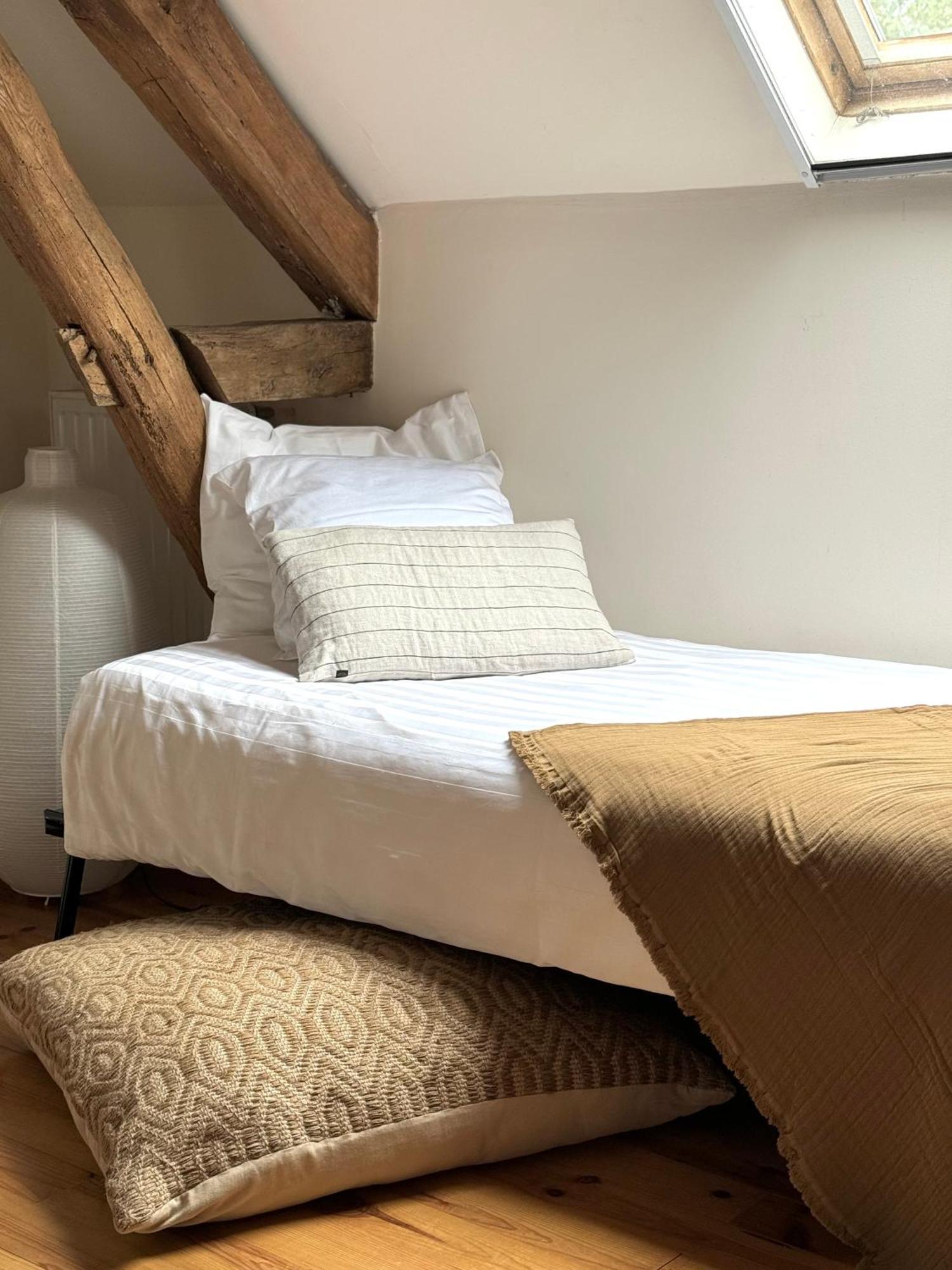 Le Moulin D Olivet Bed & Breakfast Orbigny Екстериор снимка
