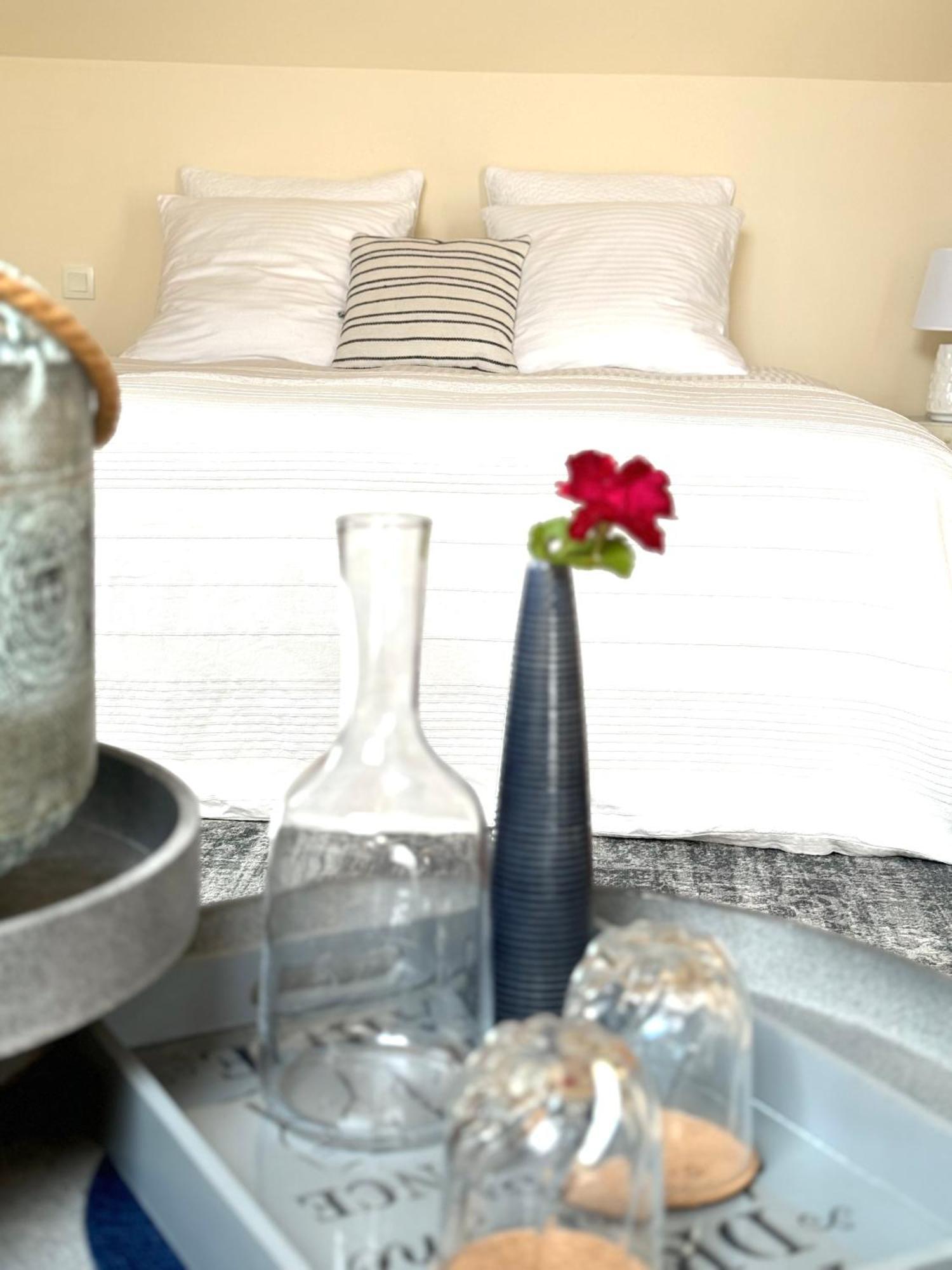 Le Moulin D Olivet Bed & Breakfast Orbigny Екстериор снимка
