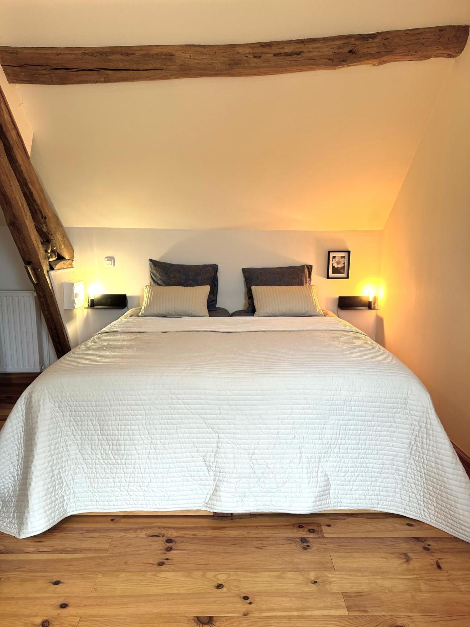 Le Moulin D Olivet Bed & Breakfast Orbigny Екстериор снимка